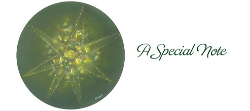 Tarjeta-de-nota-especial-frente