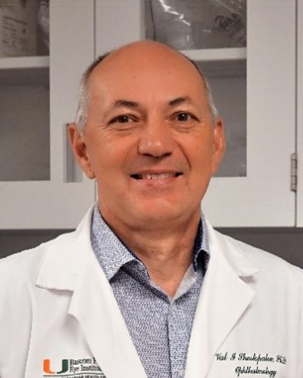 Valery I. Shestopalov, Ph.D.