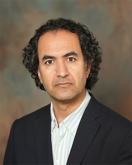 Siamak Yousefi, Ph.D.