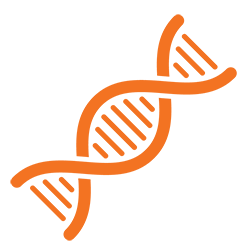 DNA Icon