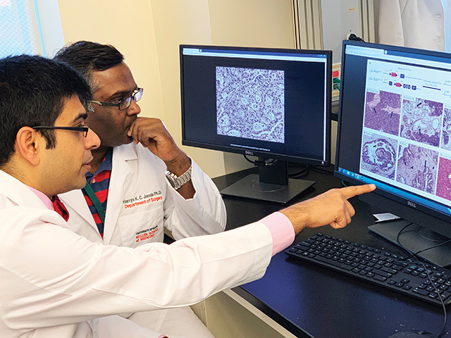From left, Vikas Dudeja, M.D., with researcher Harrys Jacob, Ph.D.