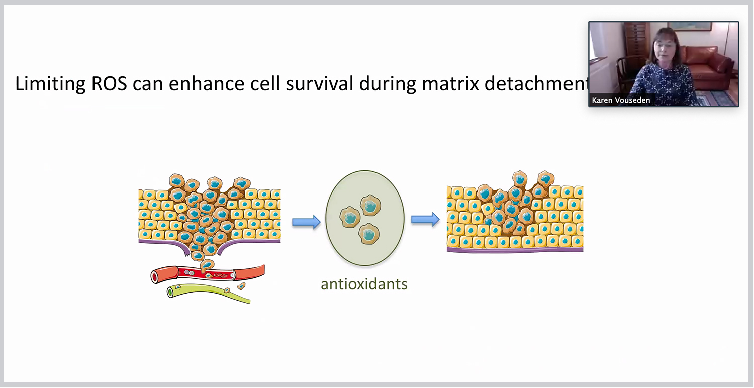 Dr. Vousden's presenting a streamed lecture live from London