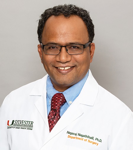 Nagaraj Nagathihalli, Ph.D.