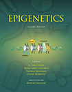 Decorative Cover Image of Publication