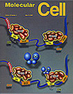 Decorative Cover Image of Publication