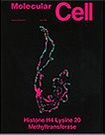 Decorative Cover Image of Publication