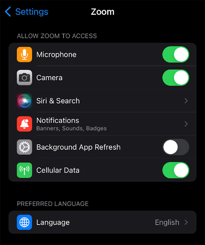 iPhone Zoom settings