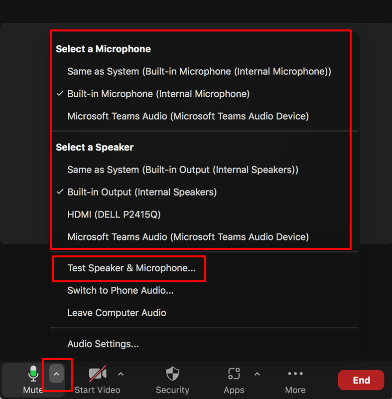 Zoom Audio settings